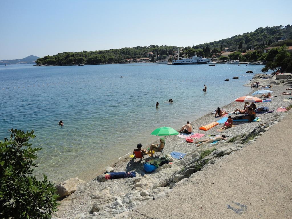 Soko Apartments & Rooms Zaton  Εξωτερικό φωτογραφία